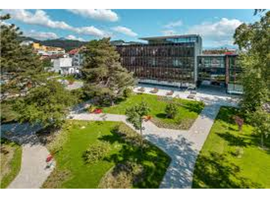 UniVlora