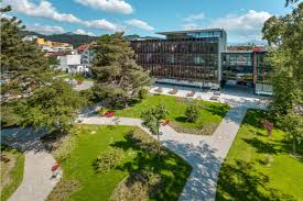 UniVlora