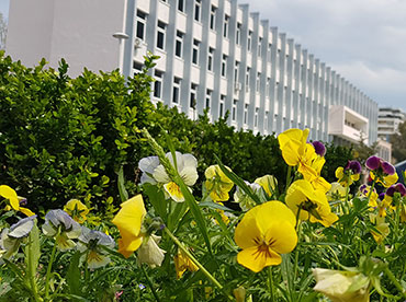 UniVlora