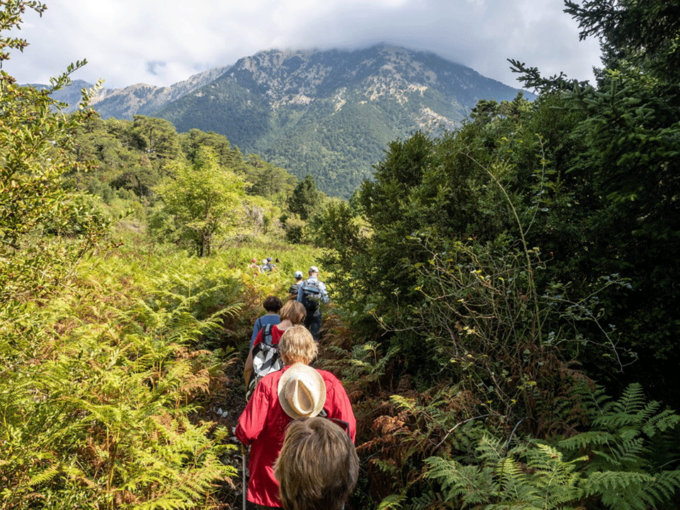 hiking - pamje 2